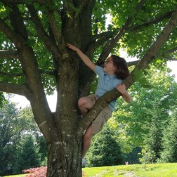 Girl in French Toast school clothes climbing tree